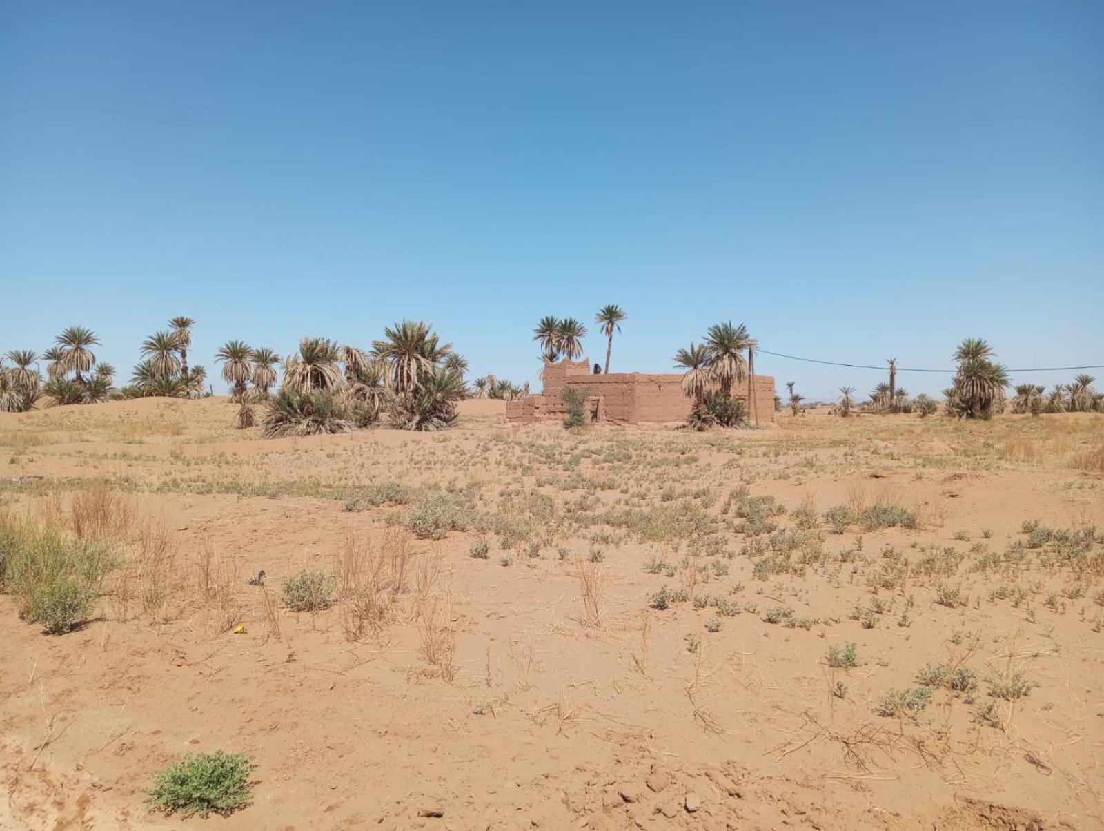 La Maison-Berbere Mhamid M'Hamid Exterior photo